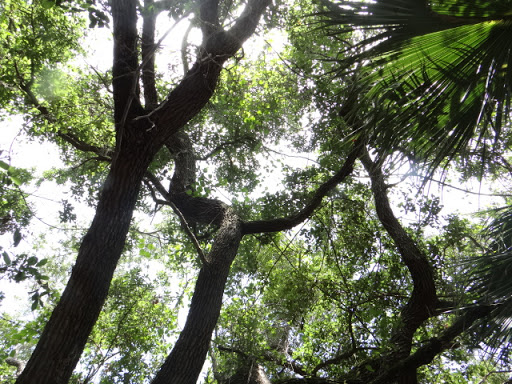 Park «Boca Ciega Millennium Park», reviews and photos, 12410 74th Ave N, Seminole, FL 33772, USA