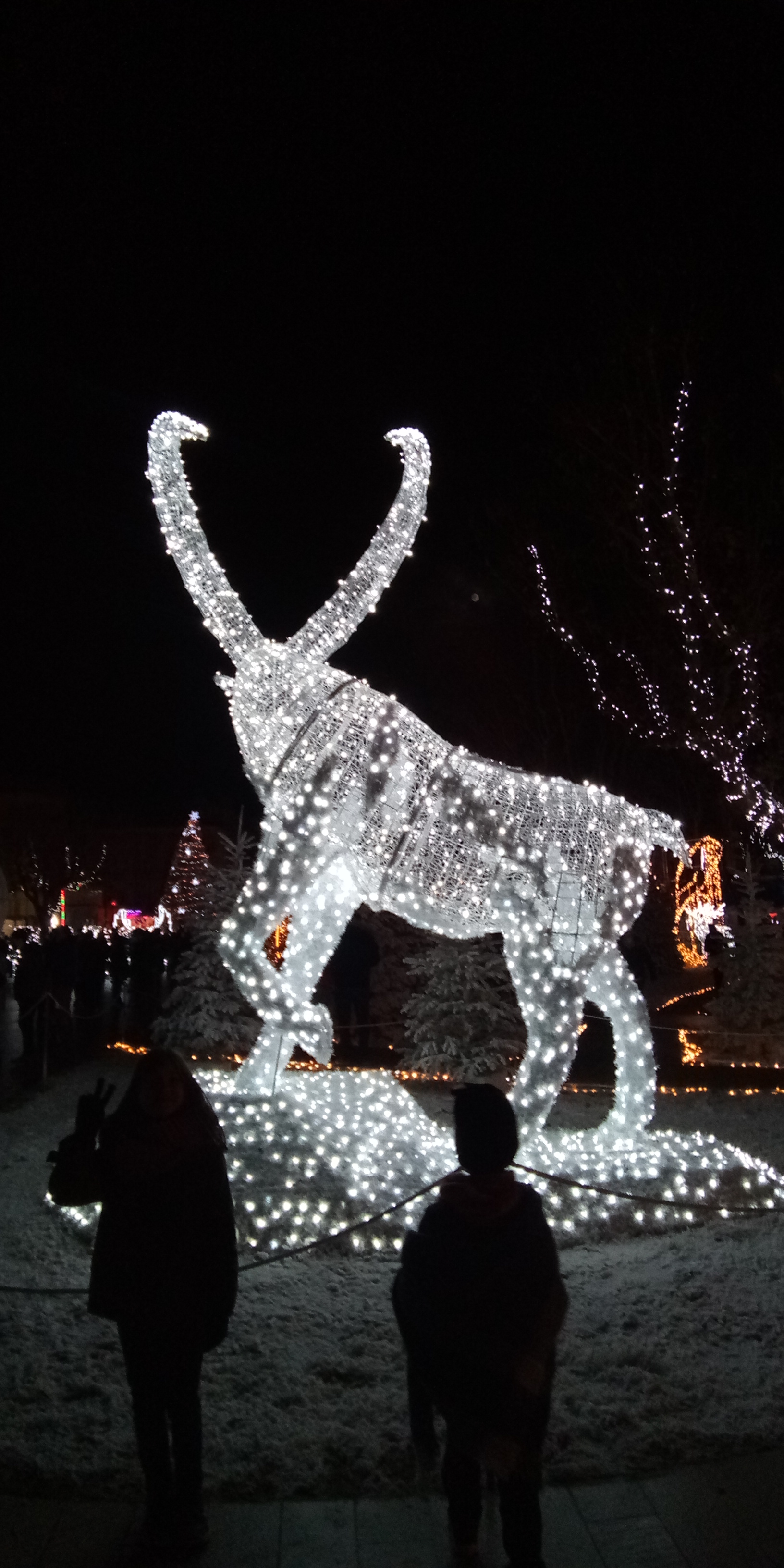 Photo n° 2 de l'avis de marie-laurence.a fait le 18/12/2021 à 19:10