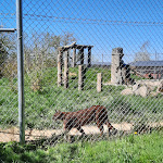 Photo n°9 de l'avis de Elwira.� fait le 18/04/2022 à 19:04 sur le  Tier-Erlebnispark Bell à Bell
