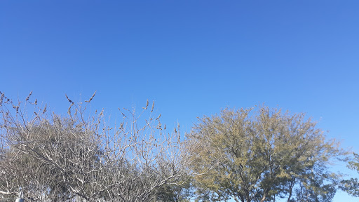 Auto Body Shop «Pro Collision Auto Body Shop», reviews and photos, 2595 W Post Rd, Las Vegas, NV 89119, USA