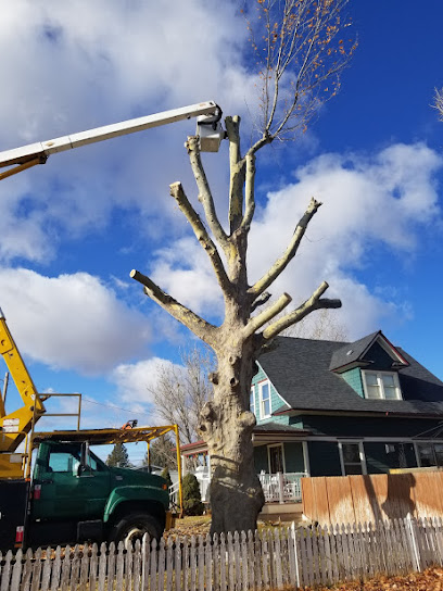Rubens Affordable Tree Service