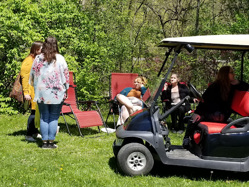 Tourist Attraction «Sycamore Stump», reviews and photos, 1402 Defenbaugh St, Kokomo, IN 46902, USA