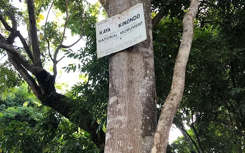Kaya Kinondo Sacred Forest image