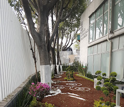 Clinica 13 Imss photo