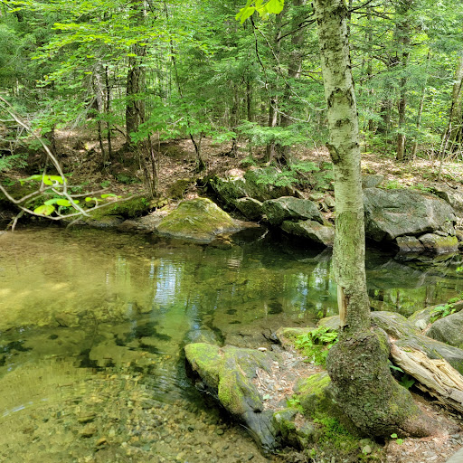 McCoy-Chapman Forest Mahoosuc Land Trust