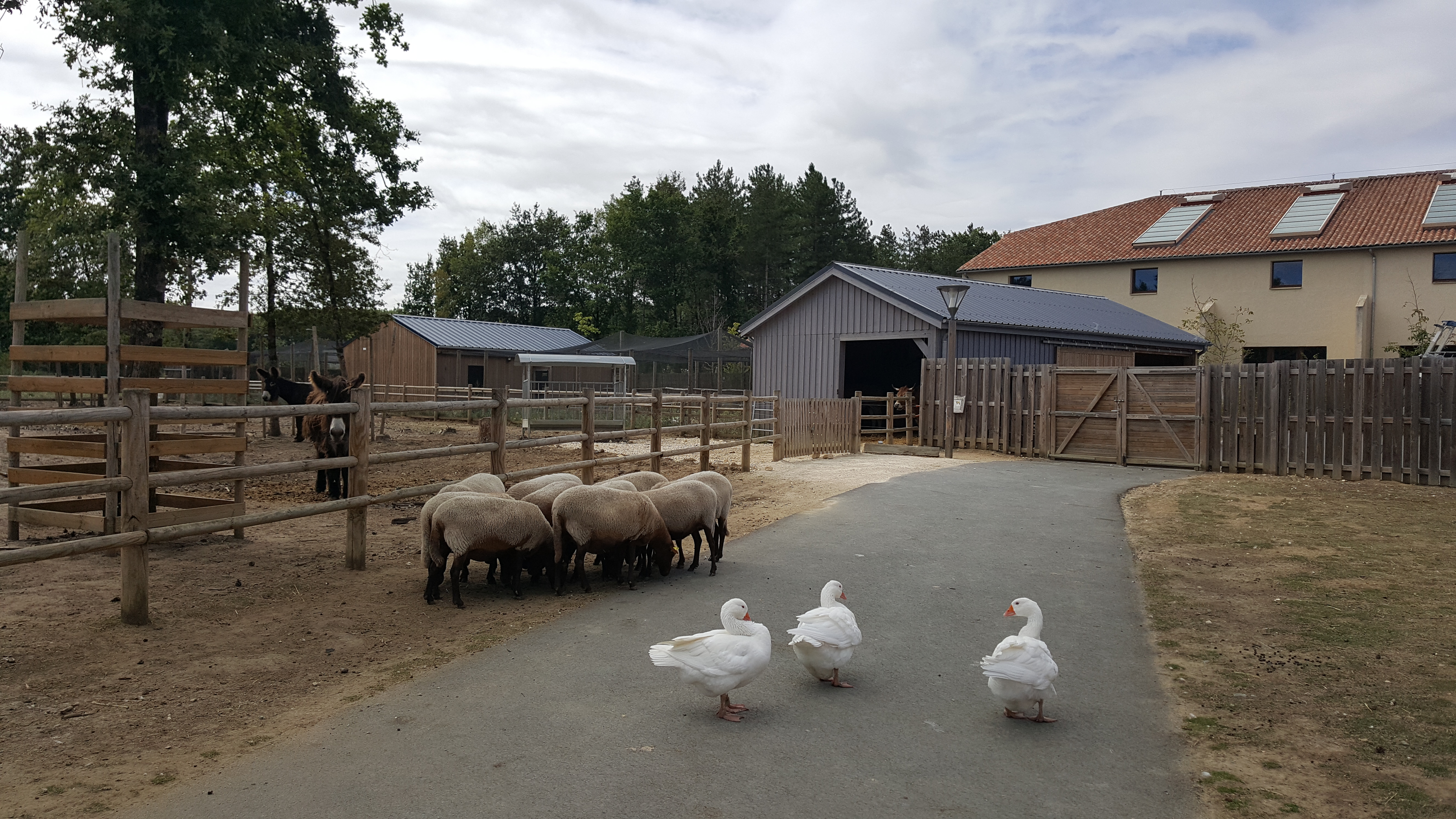 Photo n° 16 de l'avis de Saskia.u fait le 06/09/2019 à 18:55