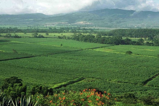 Stadium «NRG Stadium», reviews and photos, NRG Pkwy, Houston, TX 77054, USA