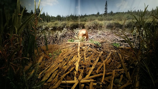 History Museum «The Frazier History Museum», reviews and photos, 829 W Main St, Louisville, KY 40202, USA