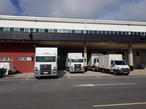 Logo da empresa - TRANSREP TRANSPORTE E LOGISTICA LTDA