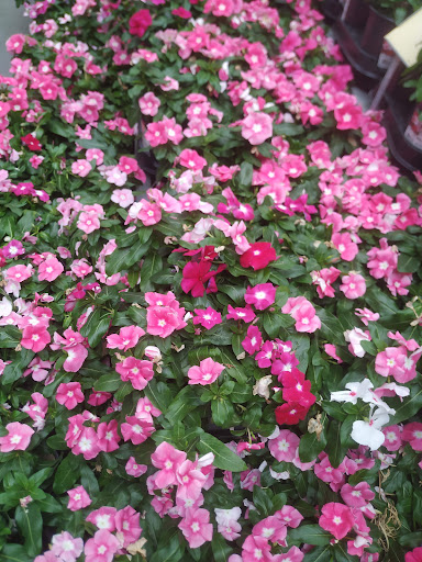 Home Improvement Store «The Home Depot», reviews and photos, 6000 Johnson Dr, Pleasanton, CA 94588, USA