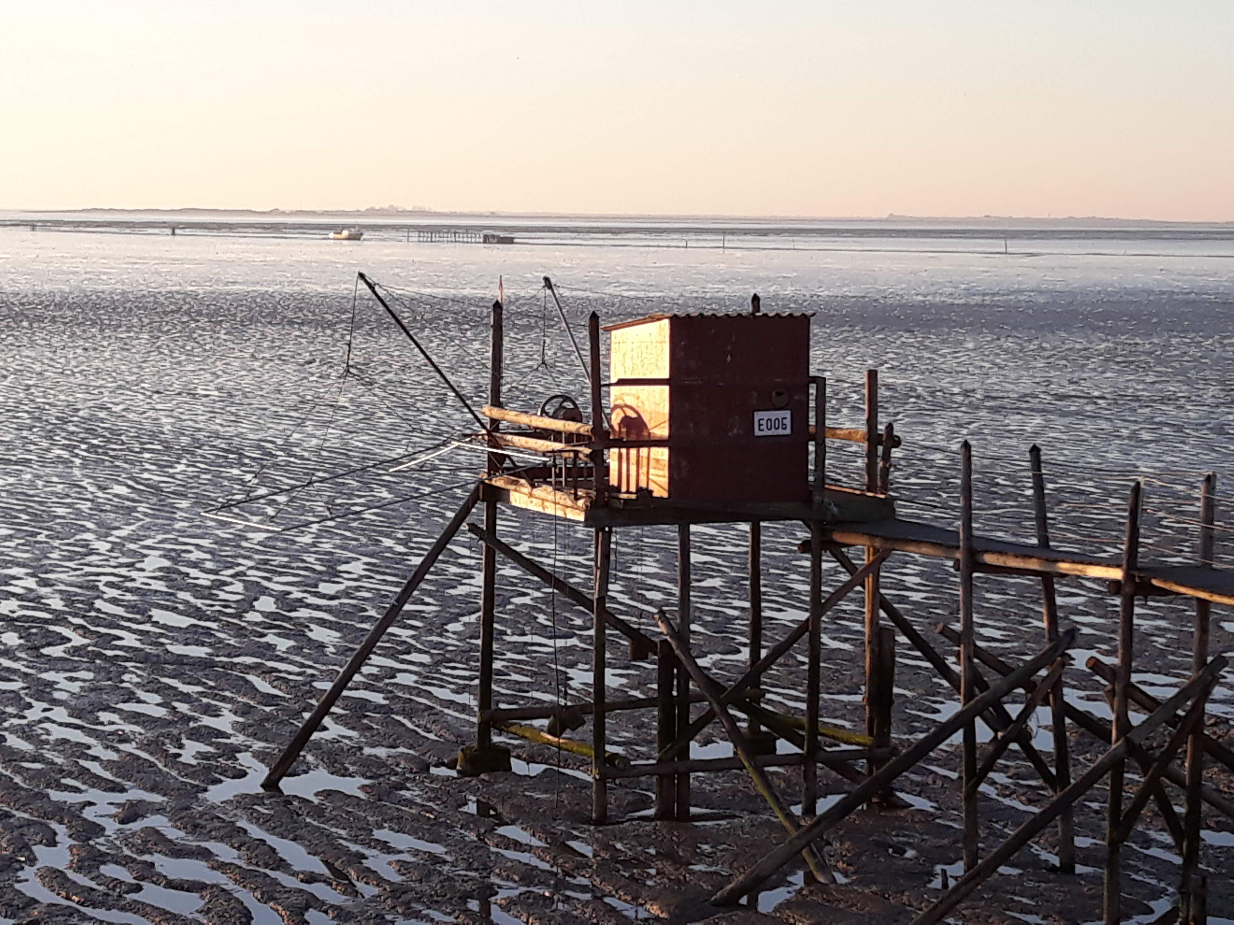 Photo n° 3 de l'avis de Nathalie. fait le 19/02/2019 à 23:23