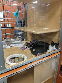 PetSmart - Photo 4 - Car repair in Anchorage, AK, Anchorage