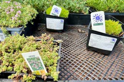 Hardware Store «Payless Hardware, Rockery and Nursery», reviews and photos, 2927 King Rd, San Jose, CA 95122, USA