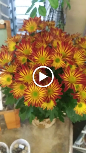 Convenience Store «Rosedale Market», reviews and photos, 8111 86th Ave NW, Gig Harbor, WA 98332, USA