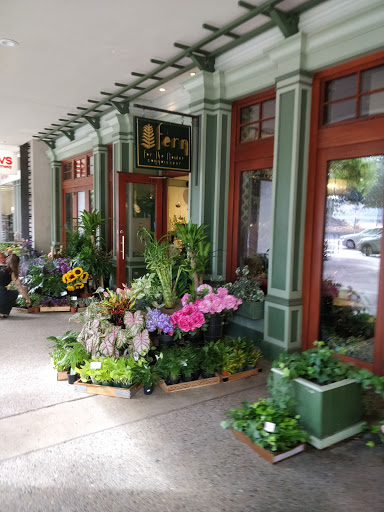 Florist «Fern by Boston Rose Florist», reviews and photos, 225 Massachusetts Ave, Boston, MA 02115, USA
