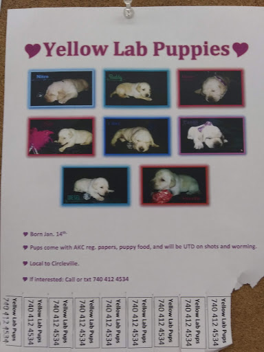 Home Improvement Store «Tractor Supply Co.», reviews and photos, 23735 US-23, Circleville, OH 43113, USA