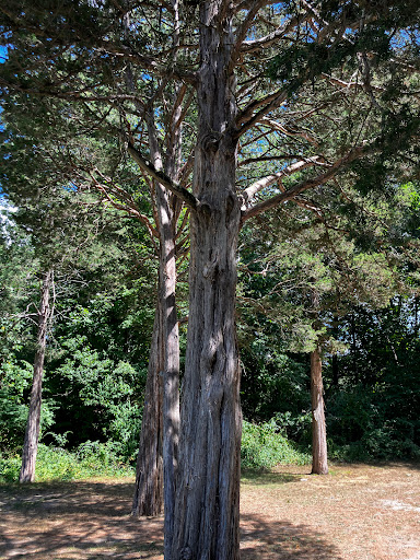 State Park «Lincoln Woods State Park», reviews and photos, 2 Manchester Print Works Rd, Lincoln, RI 02865, USA