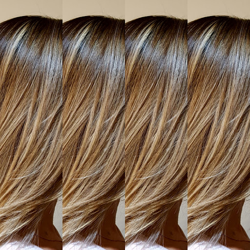 Hair Salon «Regis Salon», reviews and photos, 4742 River City Dr #131, Jacksonville, FL 32246, USA