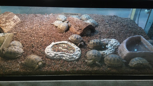 Pet Store «Exotic Pets», reviews and photos, 2410 N Decatur Blvd #160, Las Vegas, NV 89108, USA