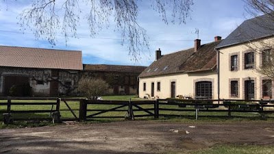 Théâtre de verdure des Angins / Reprise des activités : du 12 juillet au 25 août 2024 . à Tannerre-en-Puisaye