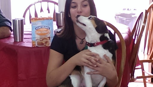 Monticello Pet Clinic