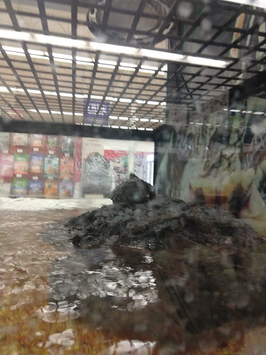 Pet Supply Store «Petco Animal Supplies», reviews and photos, 2765 Papermill Rd G-1, Reading, PA 19610, USA