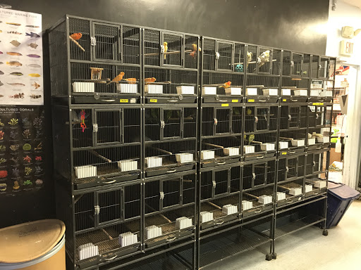 Pet Store «Oceans Of Pets», reviews and photos, 1794 Diamond Hill Road, Woonsocket, RI 02895, USA