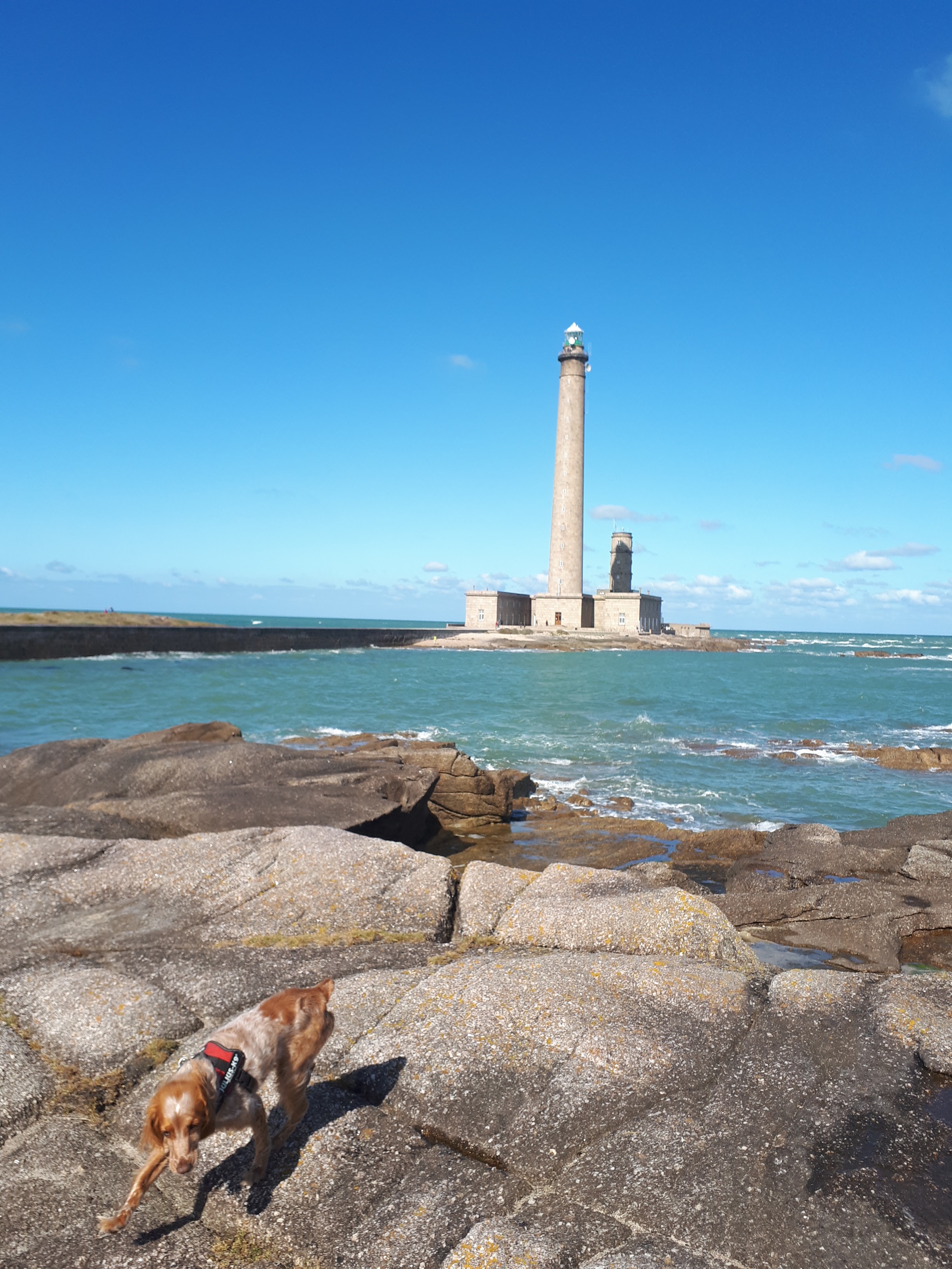 Photo n° 9 de l'avis de nathalie.a fait le 20/09/2019 à 08:30