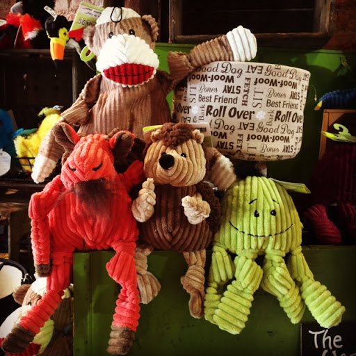 Pet Supply Store «3 Dogs 1 Cat», reviews and photos, 2472 Riopelle St, Detroit, MI 48207, USA