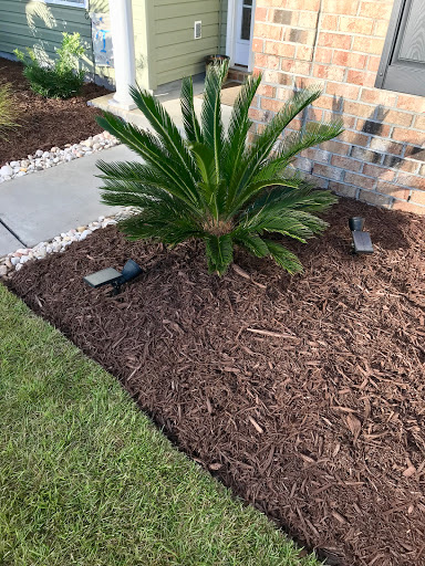 Home Improvement Store «The Home Depot», reviews and photos, 951 Oak Forest Ln, Myrtle Beach, SC 29577, USA