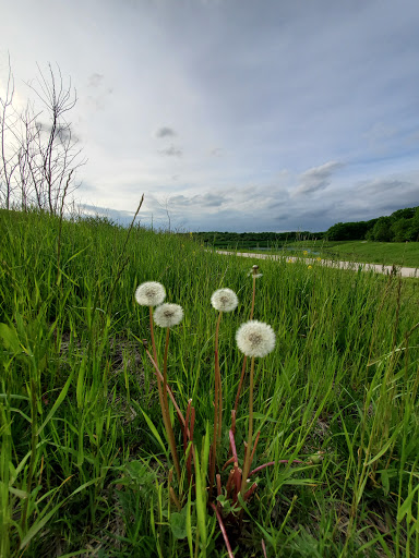 Nature Preserve «Meacham Forest Preserve», reviews and photos, Circle Ave, Bloomingdale, IL 60108, USA