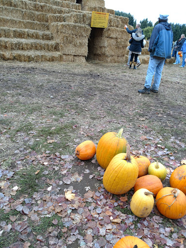 Railroad Company «Flower Farmer», reviews and photos, 2512 N Holly St, Canby, OR 97013, USA