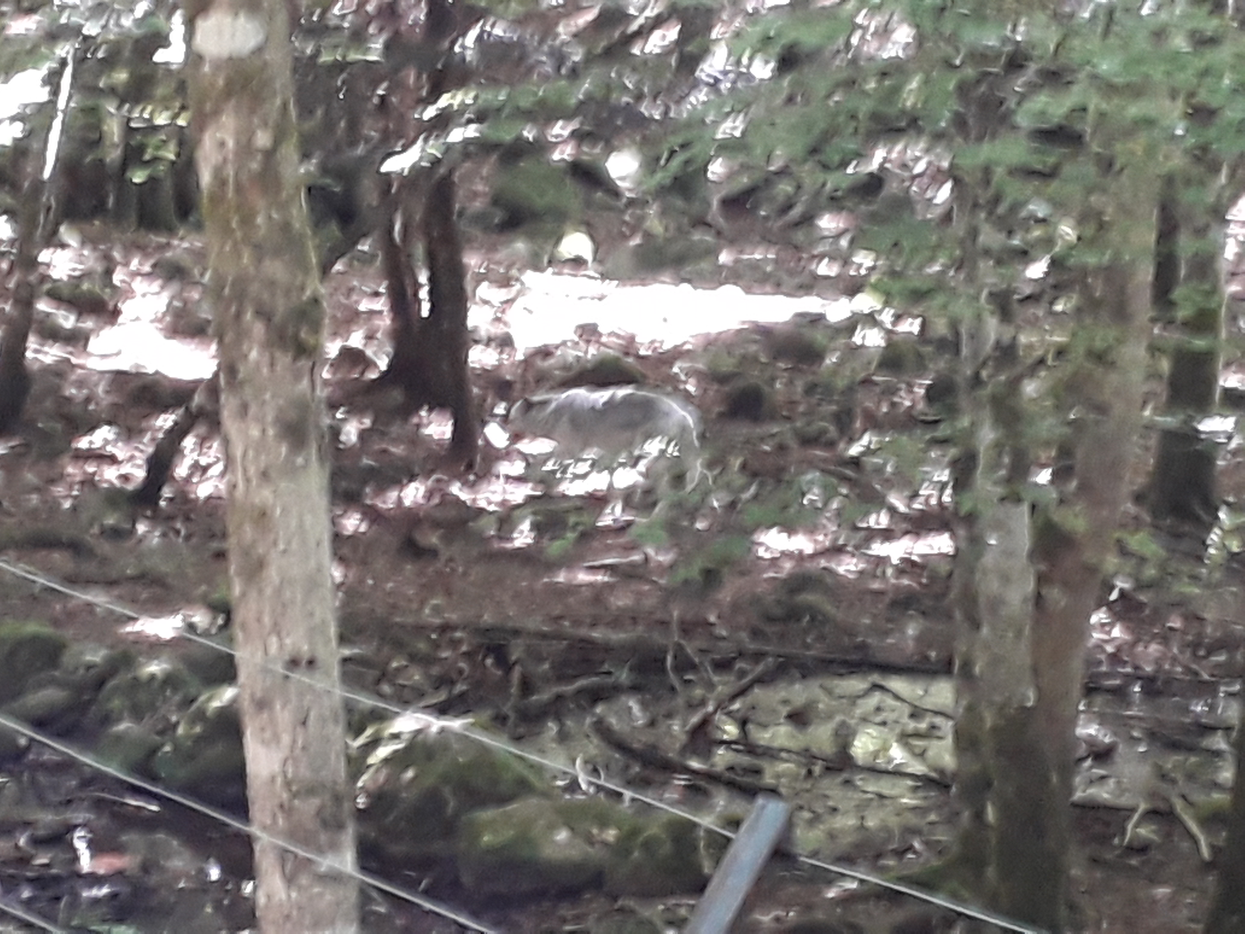 Photo n° 9 de l'avis de Franck.i fait le 19/07/2020 à 15:45