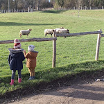 Photo n° 1 de l'avis de Do.a fait le 06/02/2020 à 10:33 pour Ferme d' Ecancourt - Association d'éducation à l'environnement à Jouy-le-Moutier