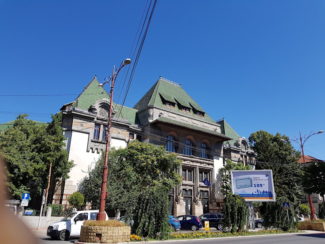 Tribunalul Buzău - Avocat