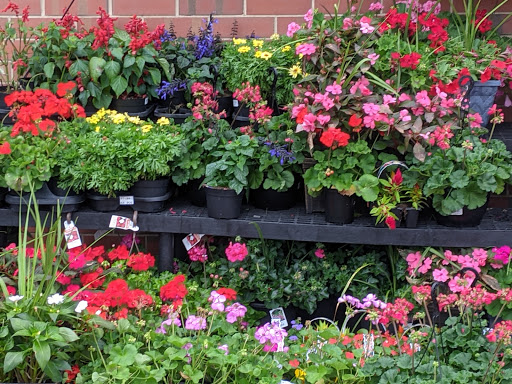 Shopping Mall «Bond Shopping Center», reviews and photos, 1891 S State Rd, Upper Darby, PA 19082, USA