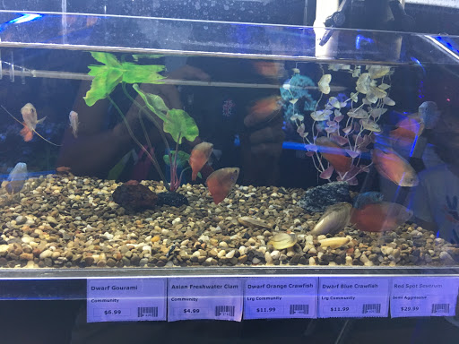 Pet Supply Store «Fish Room», reviews and photos, 1259 Kildaire Farm Rd, Cary, NC 27511, USA