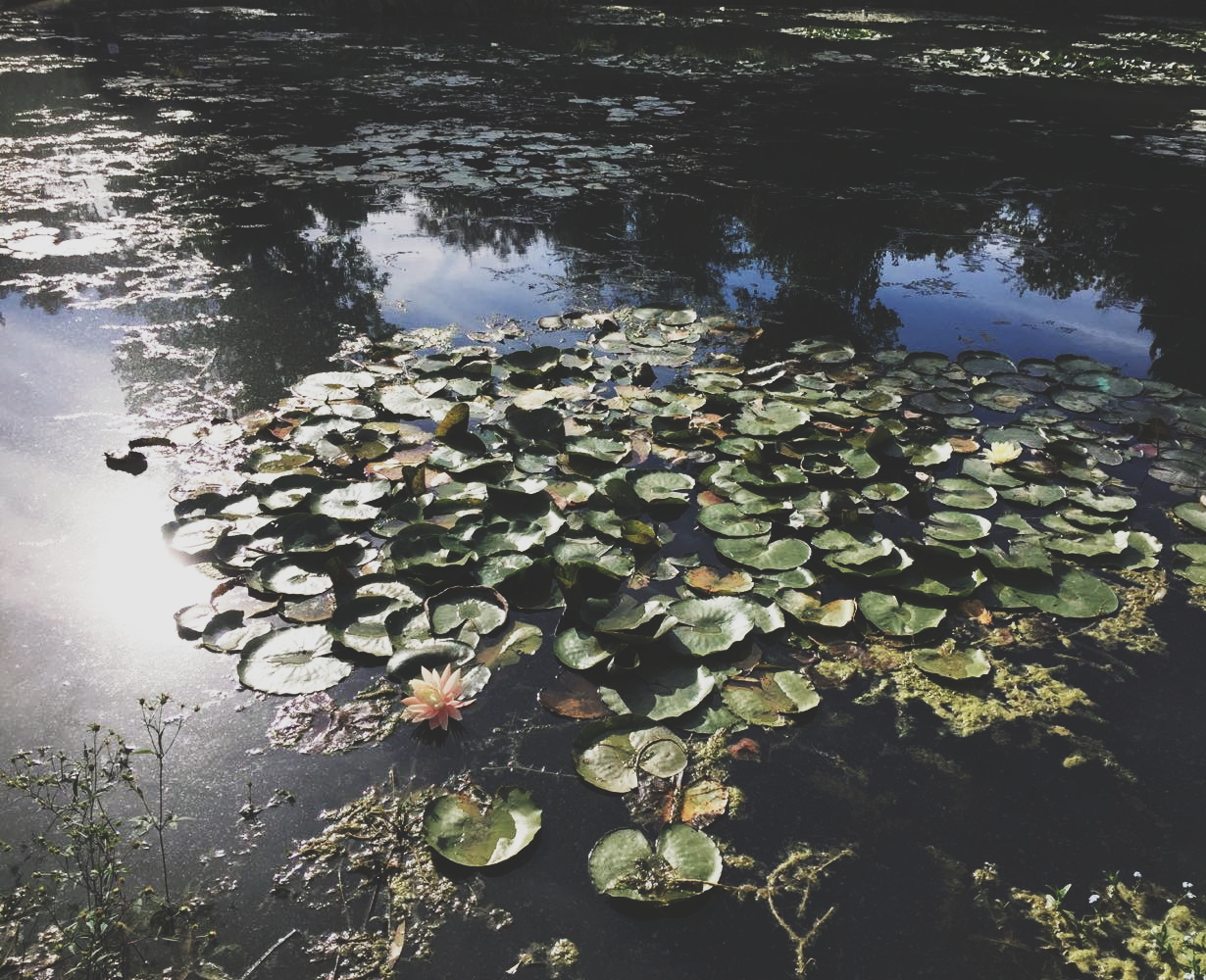 Photo n° 7 de l'avis de Amélie.e fait le 02/10/2018 à 10:36