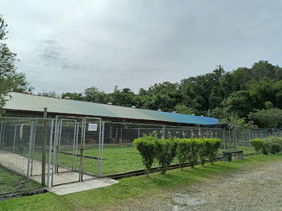 SPCA KK Rehabilitation And Adoption Centre