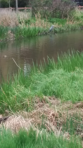 Park «Indian Boundary Park», reviews and photos, 2500 W Lunt Ave, Chicago, IL 60645, USA