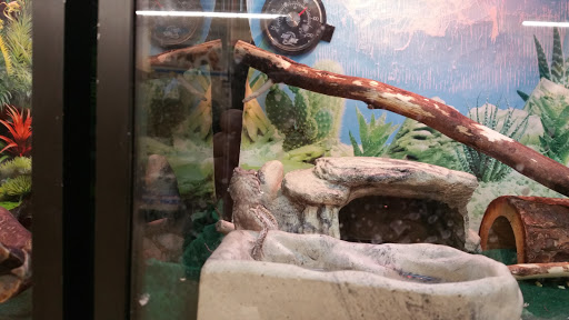 Pet Supply Store «PetSmart», reviews and photos, 2026 Lincoln Way E, Massillon, OH 44646, USA