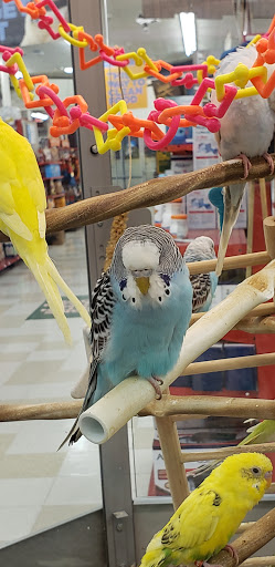 Pet Supply Store «Petco Animal Supplies», reviews and photos, 12163 Sheridan Blvd, Broomfield, CO 80020, USA