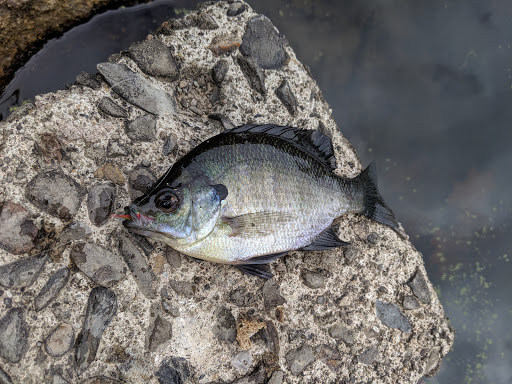 Park «Winding Hills Park», reviews and photos, 2 Old Rte 17K, Montgomery, NY 12549, USA