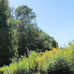 Photo n° 5 de l'avis de Rocher.h fait le 19/08/2023 à 15:10 pour CCC Compagnie de Canoë du Chassezac à Les Vans