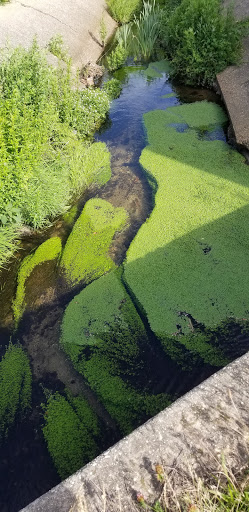 Self-Storage Facility «Life Storage», reviews and photos, 101 E Hoffman Ave, Lindenhurst, NY 11757, USA