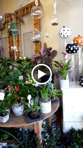 Florist «Lavender Fields», reviews and photos, 43930 Farmwell Hunt Plaza #120, Ashburn, VA 20147, USA