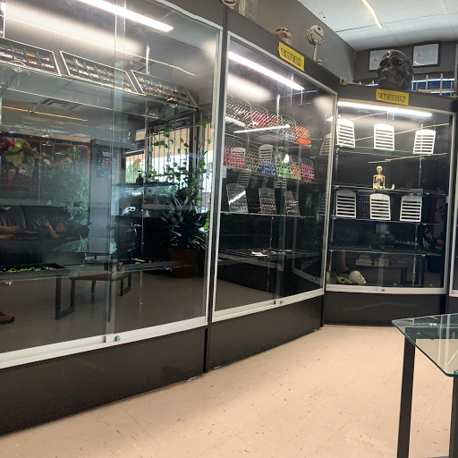 Explore harmony tattoo ideas, creative tattoo ideas in Albuquerque, available at Tattoosbyfrankieg