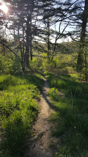 Nature Preserve «Swallow Cliff Woods South», reviews and photos, Illinois Rt 83 & US Rt 45, Palos Park, IL 60464, USA