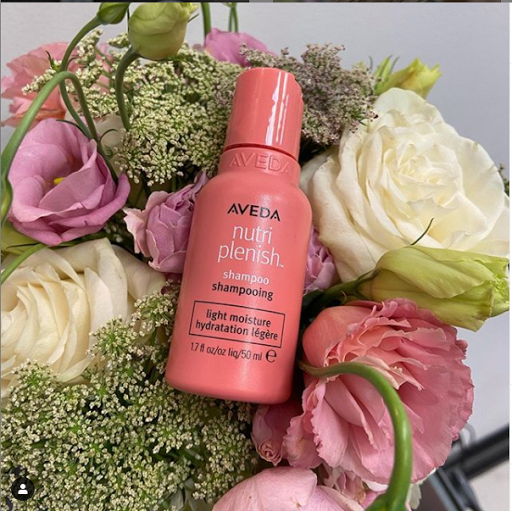 Beauty Salon «Salon Gaboa», reviews and photos, 812 S Ft Harrison Ave, Clearwater, FL 33756, USA