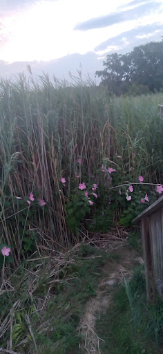 Educational Institution «The Audubon Society of Rhode Island Environmental Education Center», reviews and photos, 1401 Hope St, Bristol, RI 02809, USA